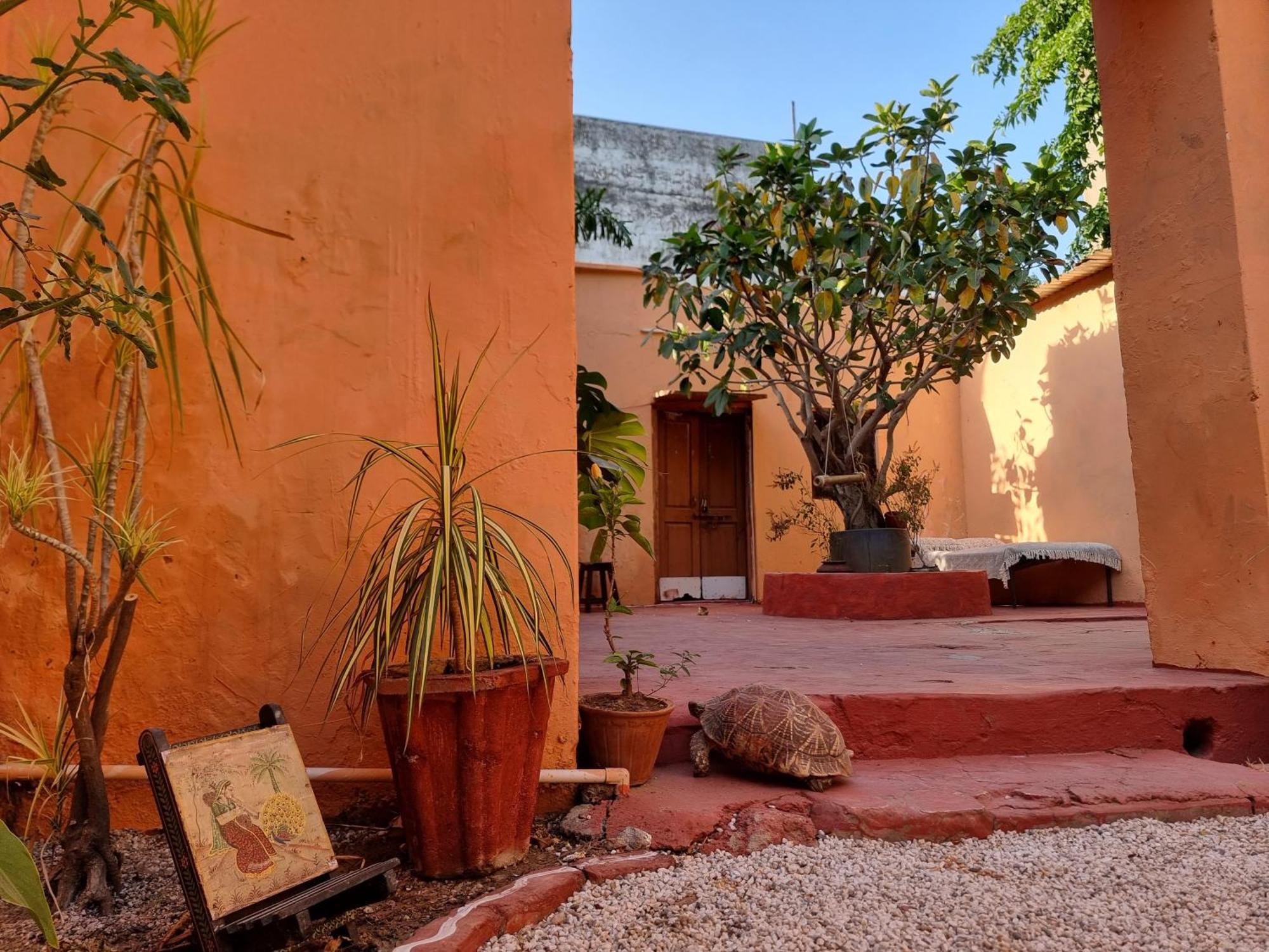 Karavan Kafe Pushkar Exterior photo